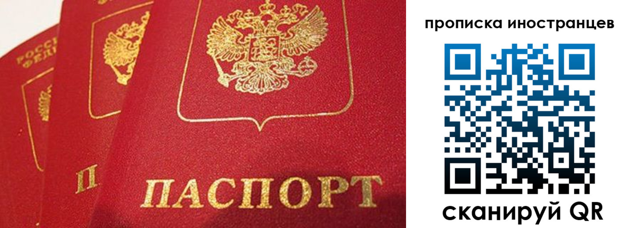прописка поиск в Новочебоксарске